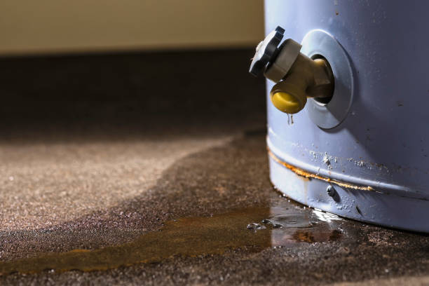 Best Local water damage restoration  in North Laurel, MD