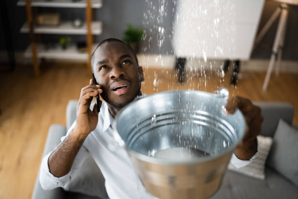 Best Ceiling water damage repair  in North Laurel, MD