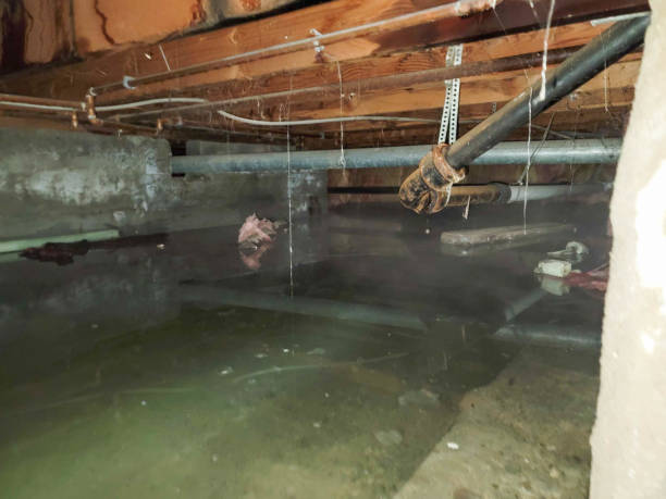 Sewage cleanup and water damage restoration in North Laurel, MD