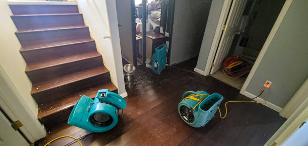 Best Fire Damage Restoration  in North Laurel, MD