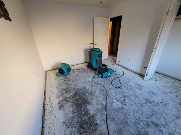 Best Professional water damage repair  in North Laurel, MD