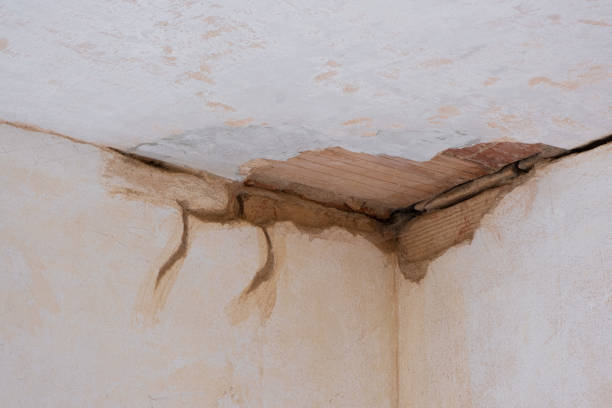 Best Commercial water damage restoration  in North Laurel, MD