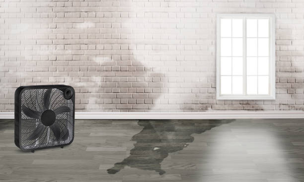 Best Carpet water damage restoration  in North Laurel, MD