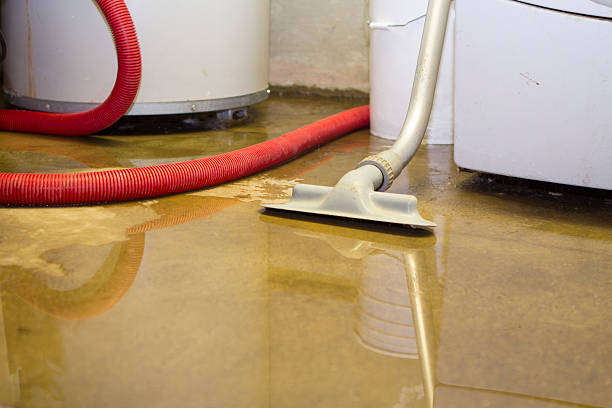 Best Sewage cleanup and water damage restoration  in North Laurel, MD