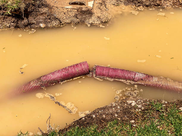  North Laurel, MD Water damage restoration Pros