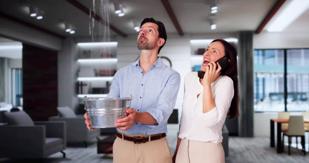 Best Flood restoration services  in North Laurel, MD