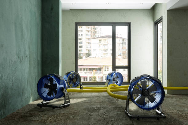 Best Basement water damage restoration  in North Laurel, MD