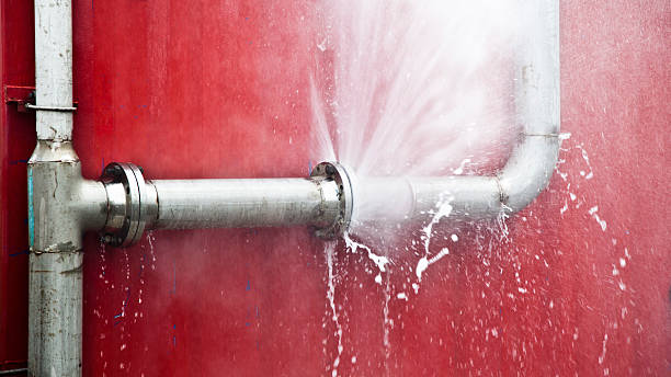 Best Professional water damage repair  in North Laurel, MD