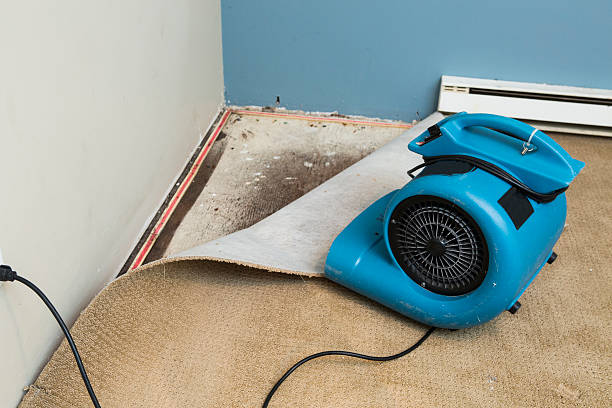 Best Water damage restoration insurance claims  in North Laurel, MD